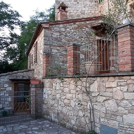 CasaPaf Apartment Serre Di Rapolano Bagian luar foto